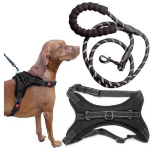 Zenify Pets Dog Harness Leash Set - Chest Control Grab Adjustable Reflective for Medium Dogs