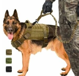 Tactical Dog Harness with Leash, for Hiking Training Military Service Dog Harness Suitable for Medium & Large Dogs