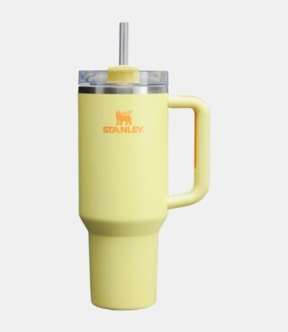 Stanley The Quencher H20 Flowstate Tumbler 40Oz