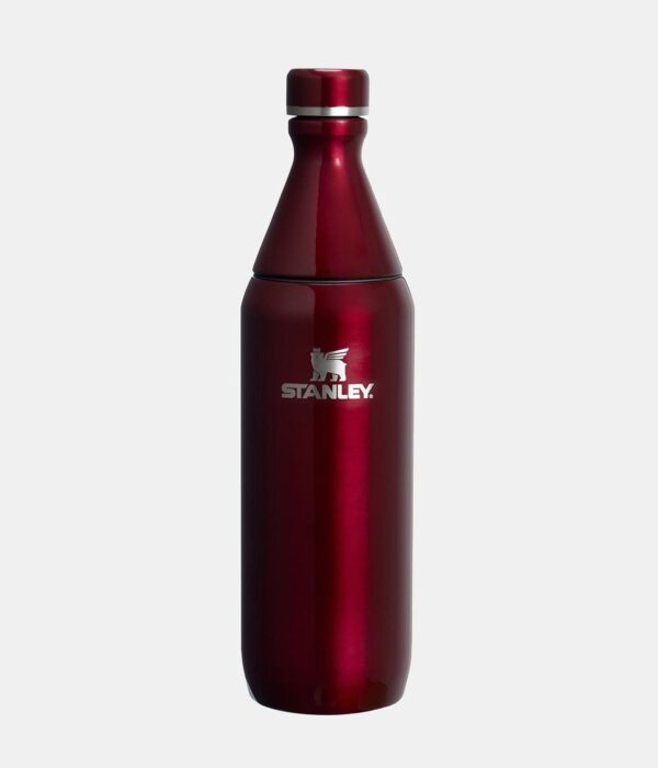 Stanley All Day Slim Bottle 20Oz - Image 3