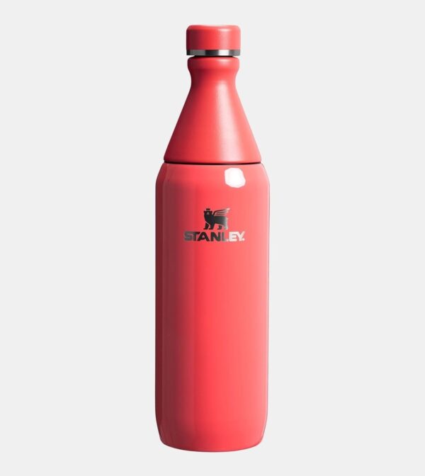Stanley All Day Slim Bottle 20Oz - Image 4