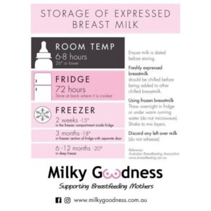 Milky Goodness Breast Milk Storage Magnet 1Piece
