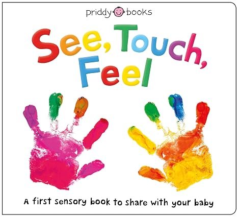 See Touch Feel: First Sensory Book