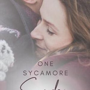 (A small town, high stakes, contemporary romance, book 4)